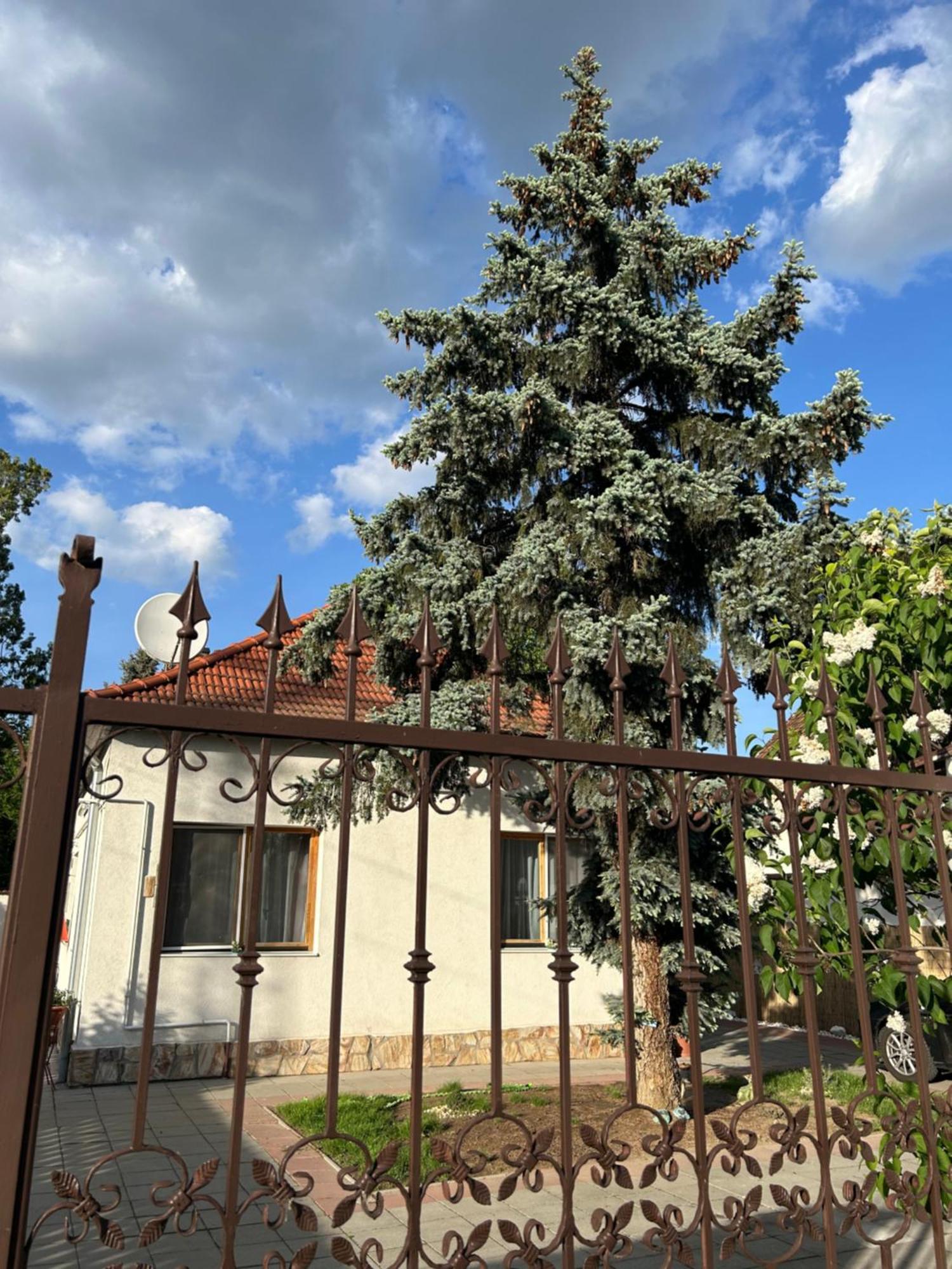 Tavaszpart Vendeghaz Апартаменти