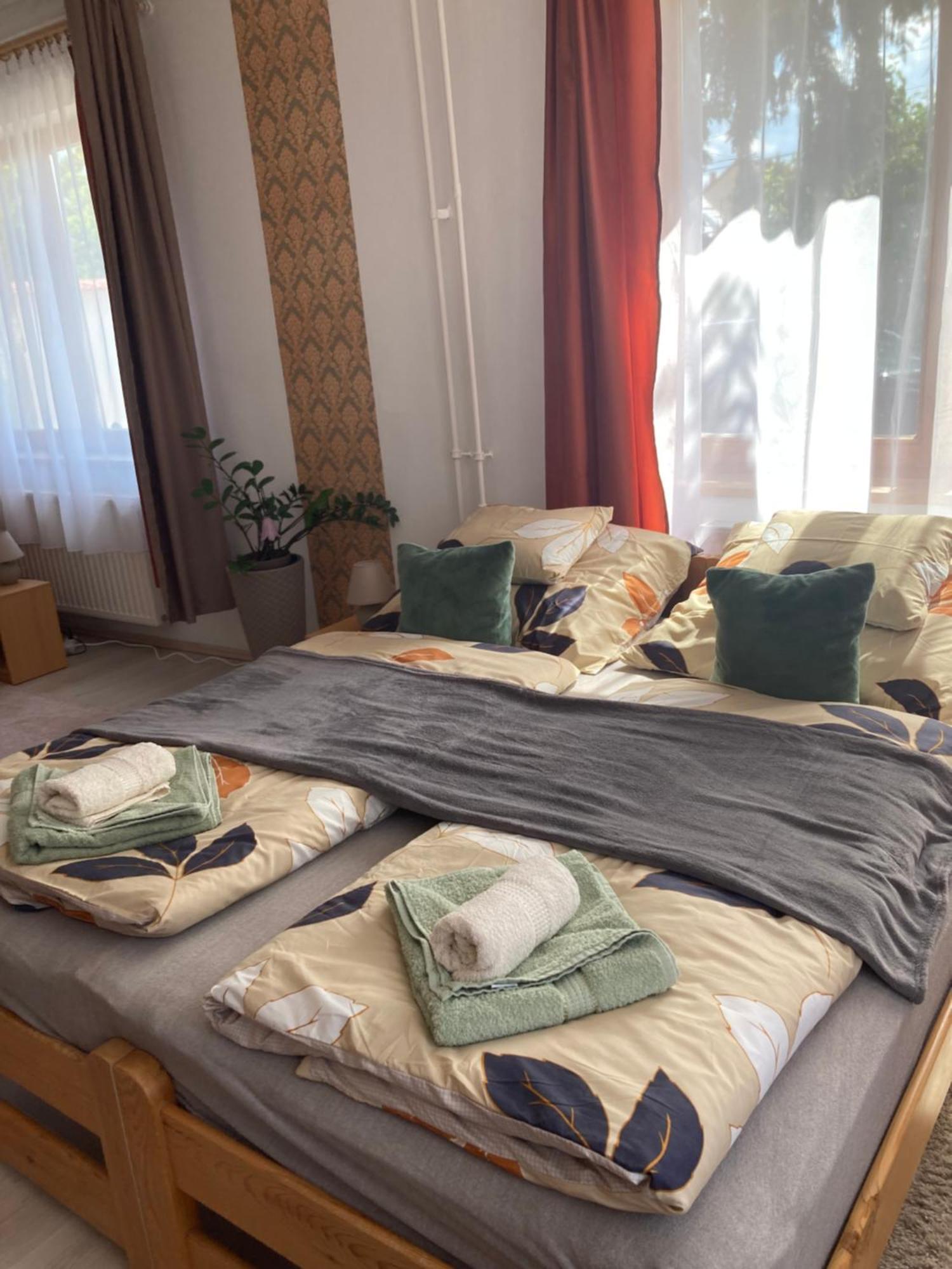 Apartament Tavaszpart Vendeghaz Segedyn